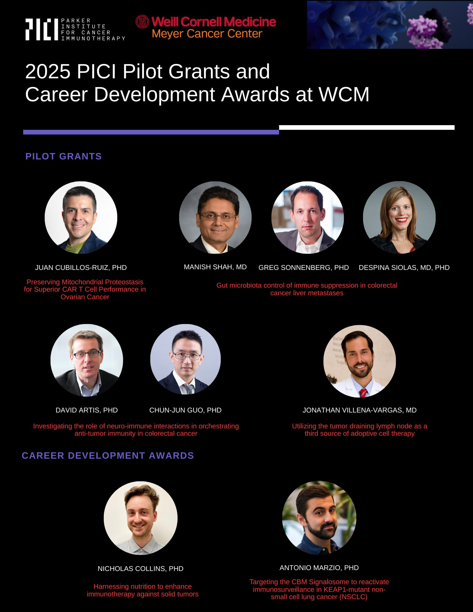 Dr. Siolas PICI Grant Award Dr. Siolas PICI Grant Award
